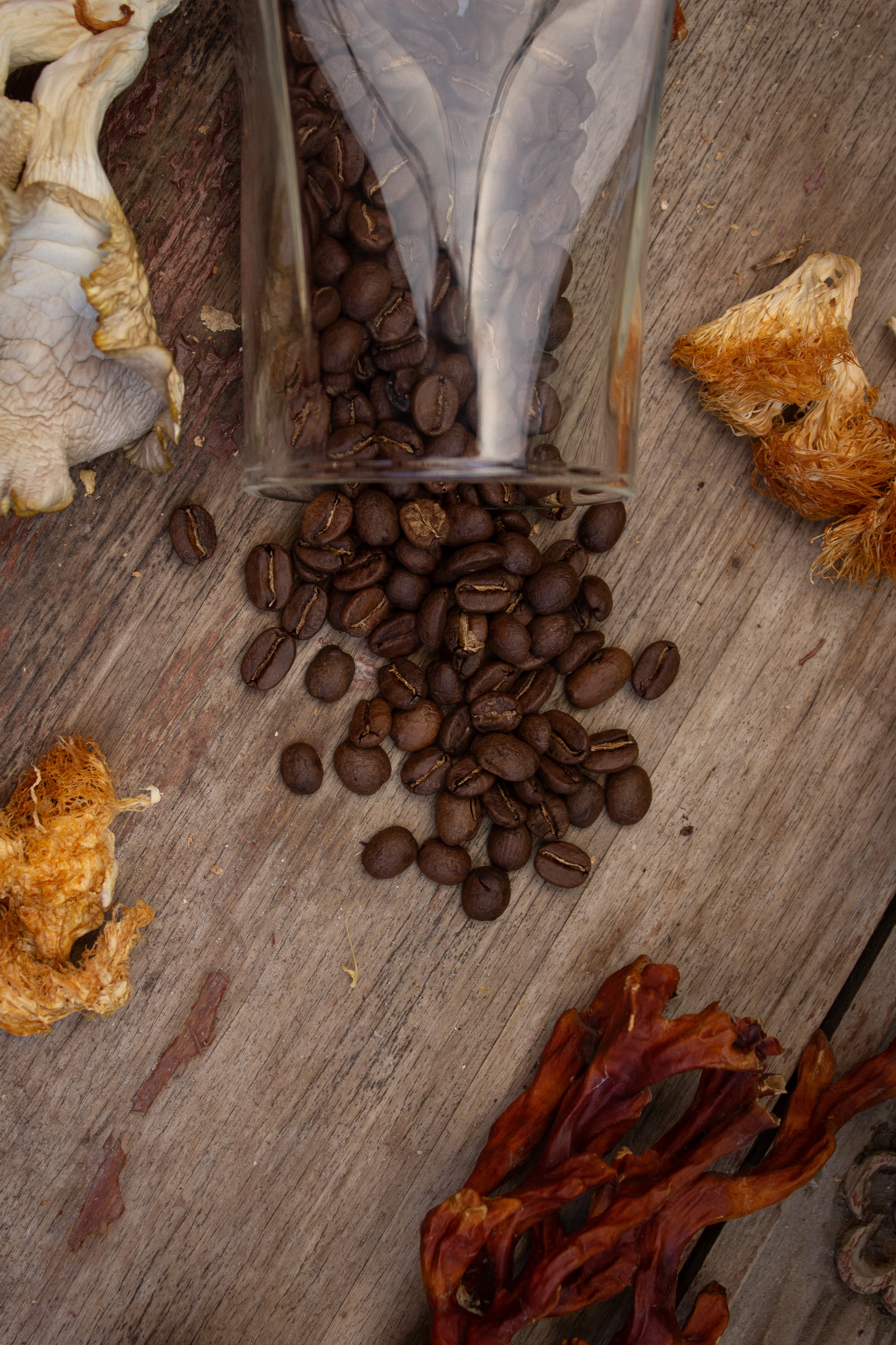Café con Hongos