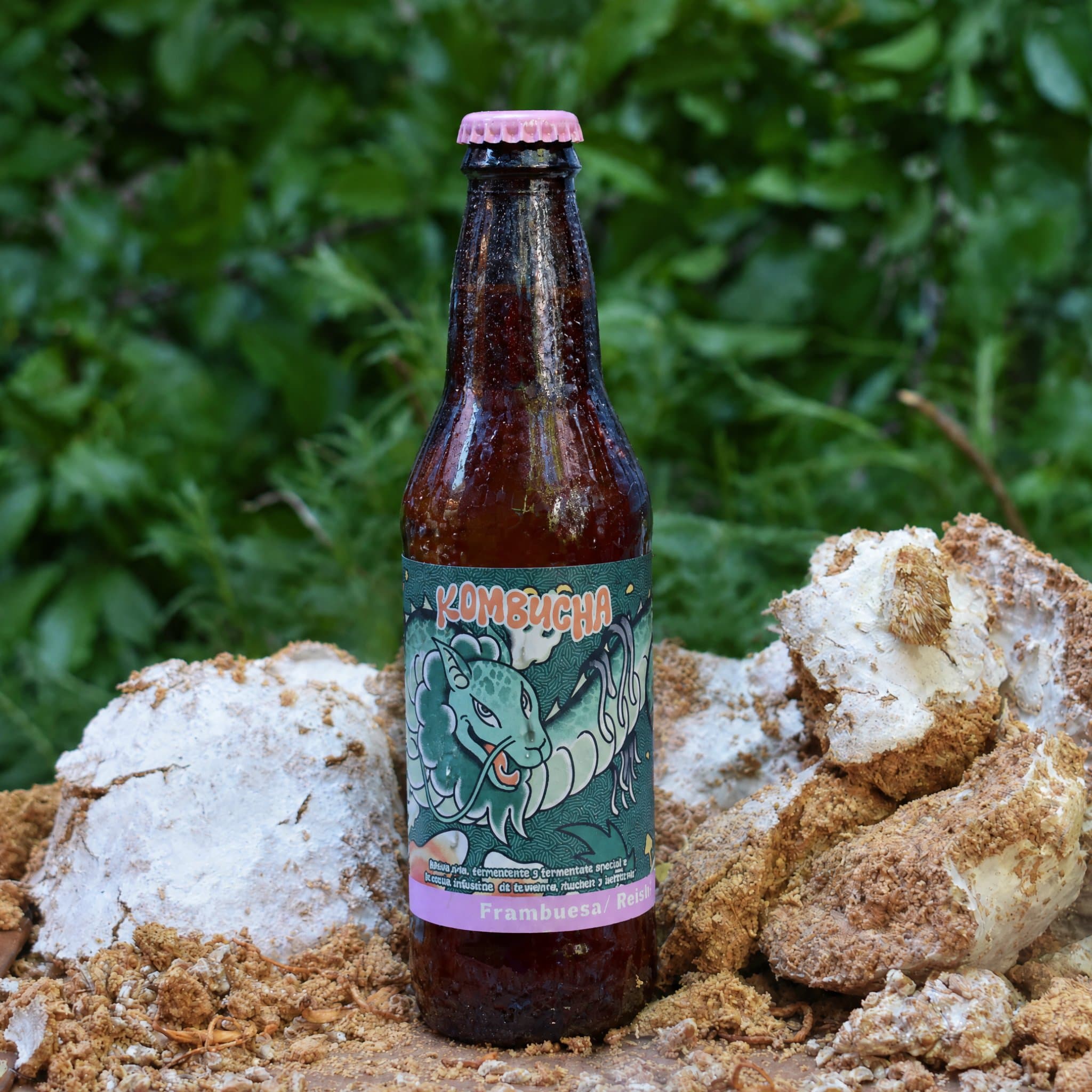 Kombucha Frambuesa Reishi