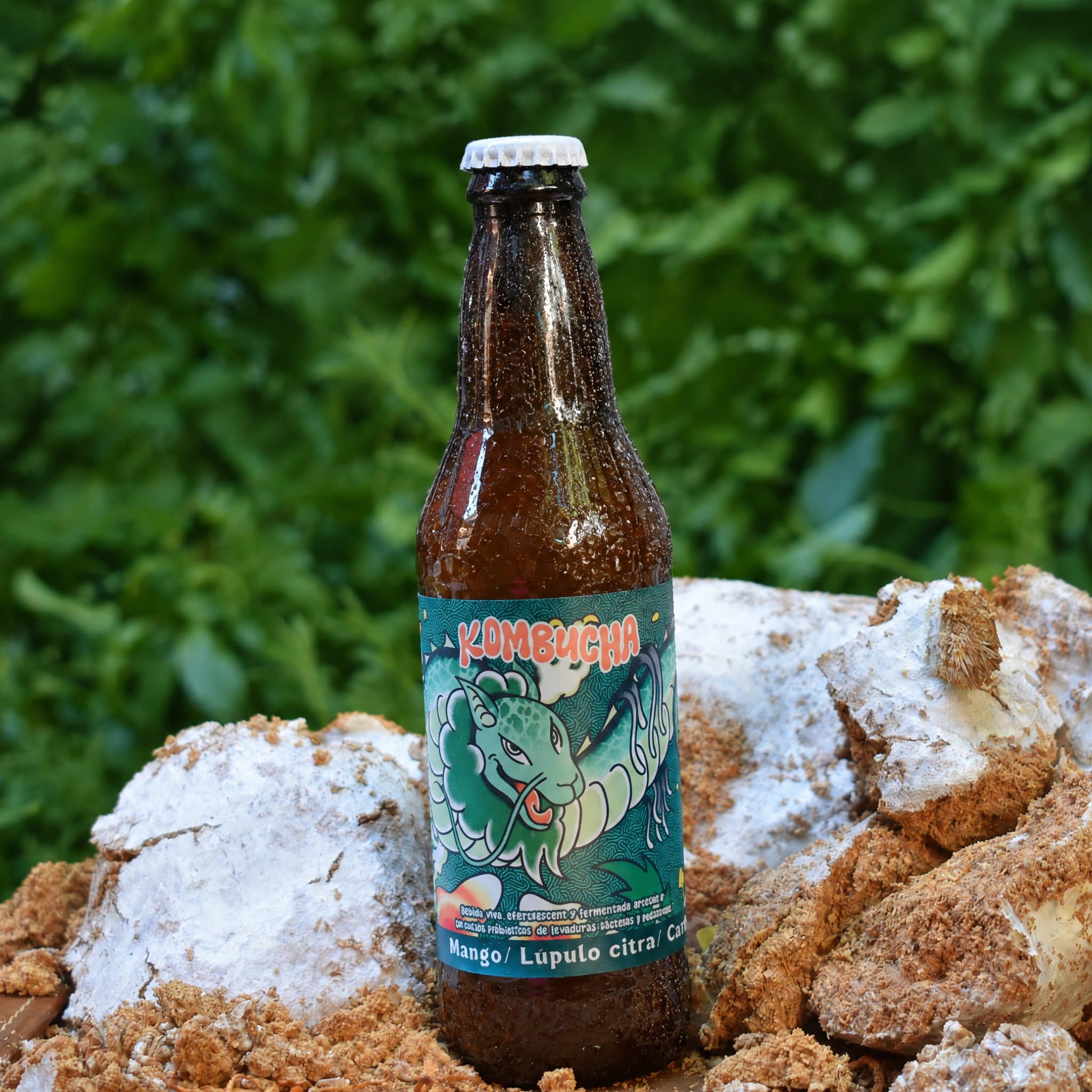 Kombucha Mango Lúpulo citra